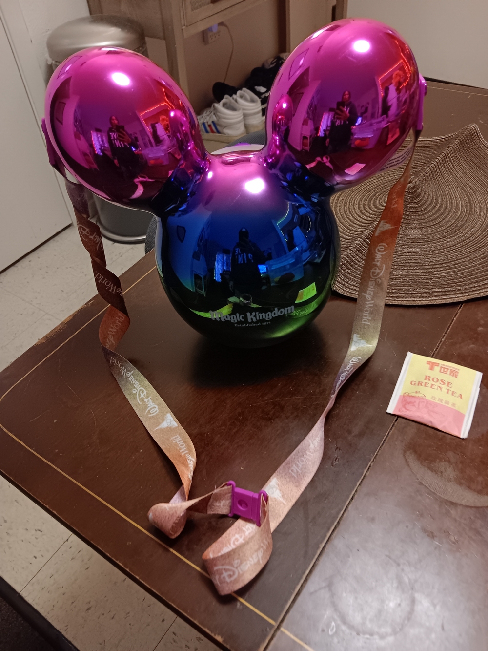 Disney MAGIC KINGDOM Iridescent Bag!